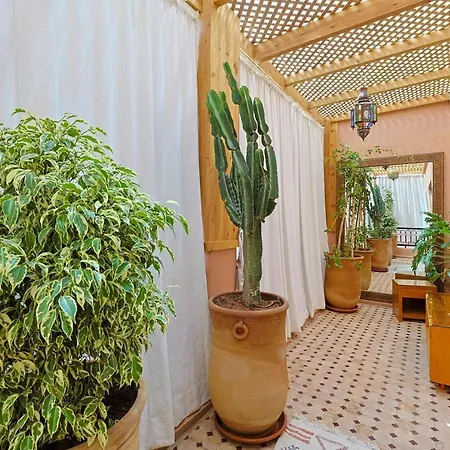 Oasis - Appartement Authentique A Gueliz Marraquexe Exterior foto